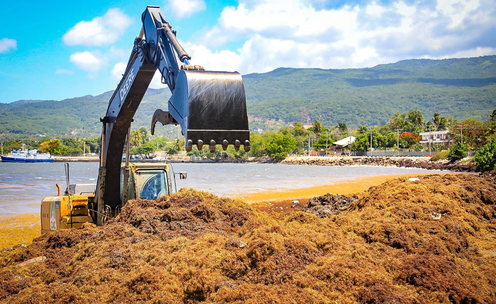 Tractor retira sargazo en Barahona.